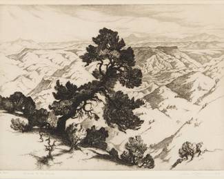 3117
Gene Kloss
(1903-1996)
"Far Across the Rio Grande," 1939
Etching on wove paper
An artist's proof aside from the edition of 75
Signed, titled, and inscribed "Artist's Proof," all in pencil in the lower margin: Gene Kloss imp.
Plate: 9.875" H x 13.875" W; Sight: 10.75" H x 14.375" W
Estimate: $800 - $1,200
