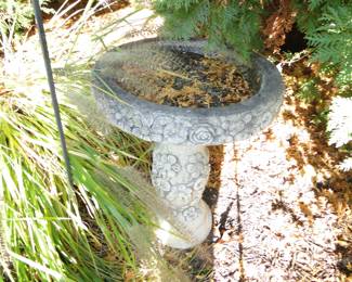Bird Bath