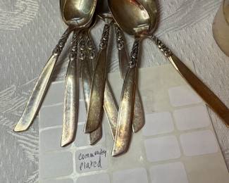 Vintage South Seas by Oneida Community Silver-Plated Spoons