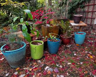 101 Lotof2FoldingTableswMixedCeramicGardenPotsPlants