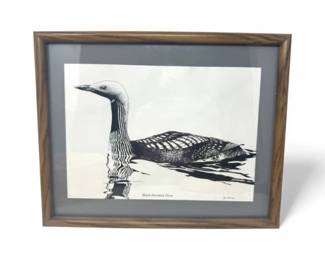 47 FramedBlackThroatedDiverPrintbyPaulPhillips