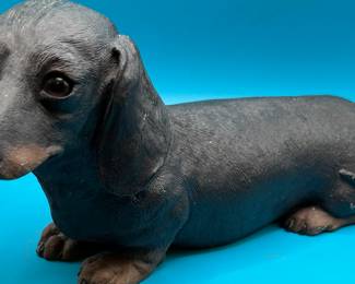 Daschund