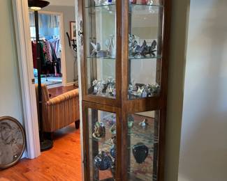 lighted curio case