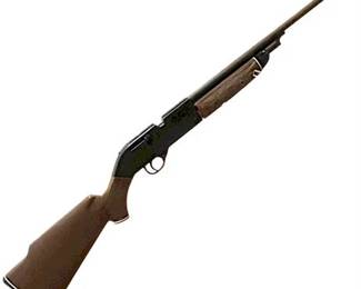 Coleman 66 PowerMaster .177 Caliber Pellet Multi-Pump Pneumatic Air BB Rifle