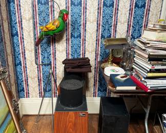 parrot, decor, books, speakers, treasures