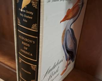 GREAT BOOK ABOUT AMERICAN BIRDS