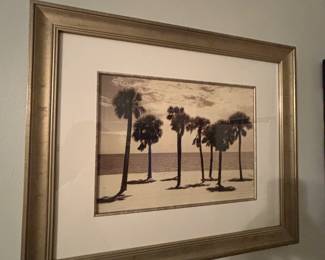 Palm tree photos framed 