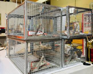 Rodent Traps