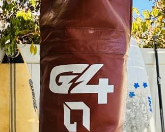 G4 Punching Bag
