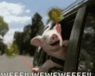 Wii! Uh oh.. Do I need a copyright infringement clause? Actually that’s a selfie of me when I’ve gotten a really good sale like this one going down the road with Sweet Pea driving!  Get over it.