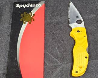 Spyderco Native 5 Salt Folding Knife, C41PYL5