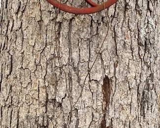 Old Well Pulley and Bucket