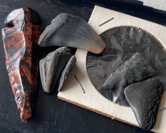 Sharks Teeth/Arrowheads