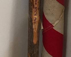 David Crockett Walking Stick
