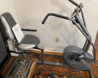 Sunny Cross Trainer Bike (Rug not for Sale)