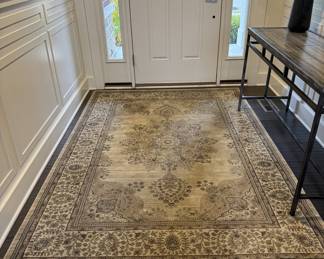 5 X 7 area rug