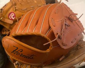 Gulf Greensboro Hornets Glove 