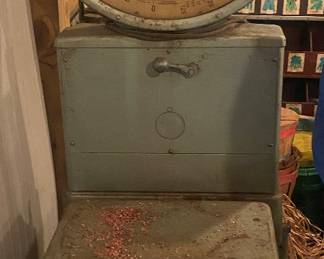 Large Toledo Store Scale