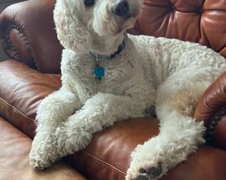 Yep…. Another gorgeous model