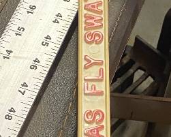Texas Fly Swatter