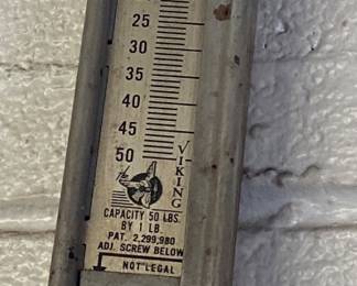 Hanson Spring Scale