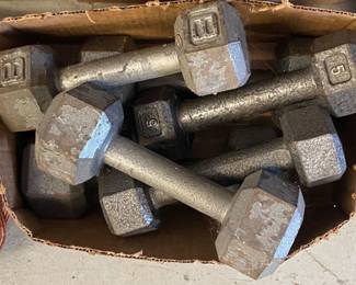 Cast Iron Dumbbells