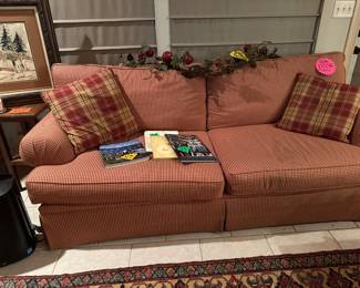 Beautiful Modern Sofa and Pillows - books