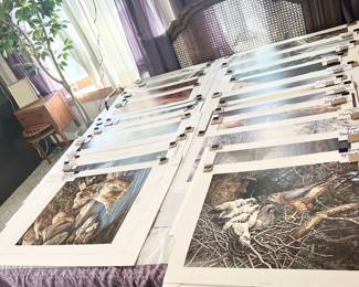 Bateman, Larson, Doolittle, Zoellick, Kinkade, Lester, Crandall, Brenders & more!