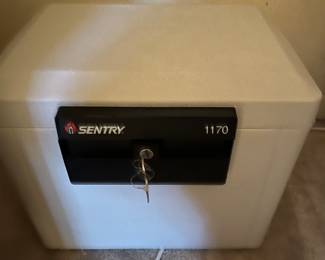 Sentry safe