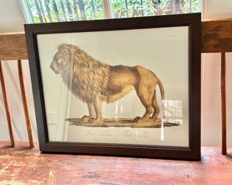 Custom Framed Karl Brodtmann Lion Print