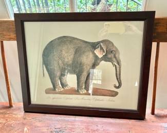 Karl Joseph Brodtmann Custom Framed Elephant Print