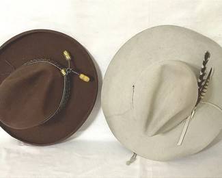 Two Cowboy Hats