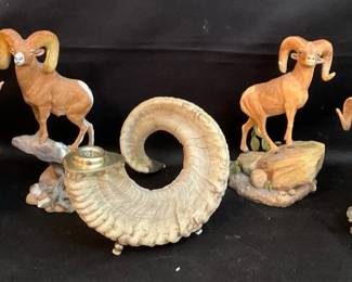 Nick Bibbys Bighorn  Sheep