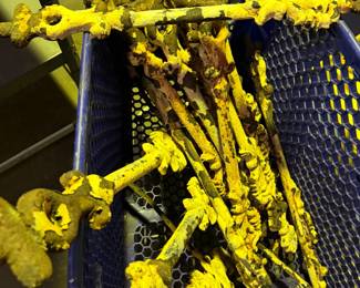 Cast Iron Architectural Salvage 