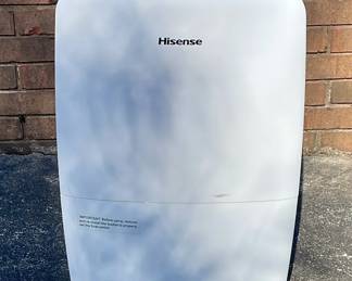 Hisense Dehumidifier 