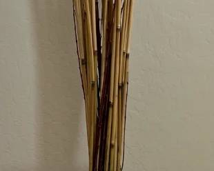 Floor Vase w Reeds