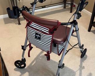 Mobility Walker 