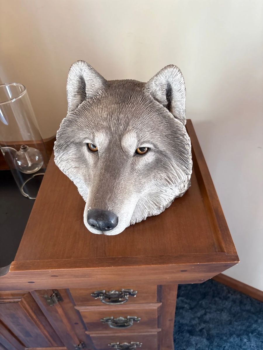 47Nov 08 2025 03 16pmD8Zb