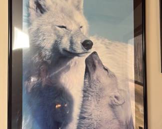 Wolf Harmony Photograph by Brandenburg