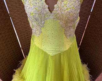 ball room dancing gown