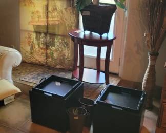 storage cubes, tables & plants