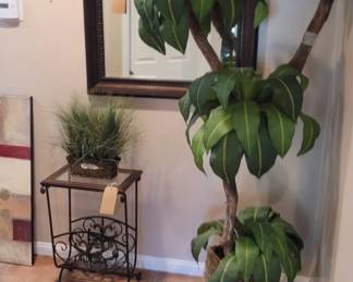 Decorator mirrors & Plants
