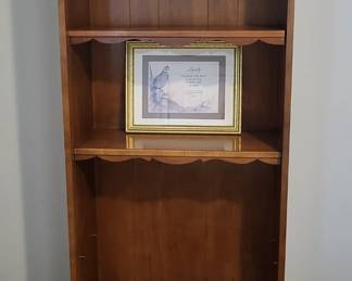 Book Case with Cabinet