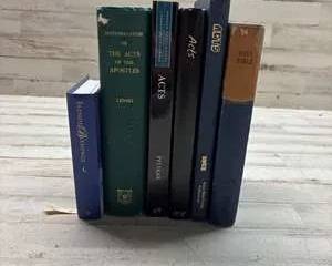Lot of 7 Christian Books on Acts & Bible Study NIV Holy Bible Lenski Pelikan