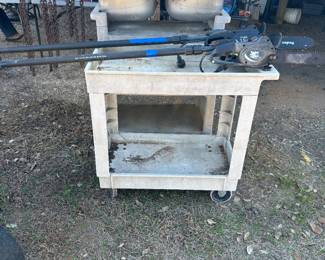 Sink and utility carts