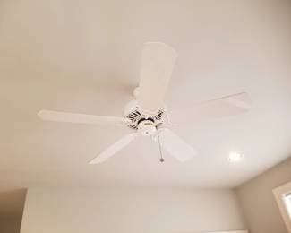 Ceiling fan