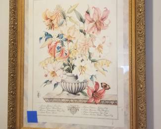 Botanical art - Lily