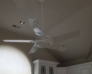 Lighted ceiling fan