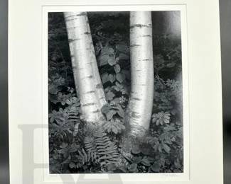 JOHN SEXTON SIGNED PHOTOGRAPHY