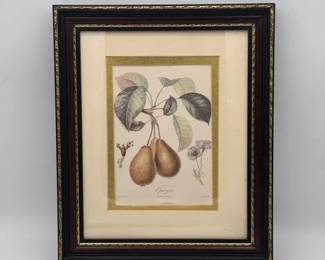 Epargne - Framed Fruit Print